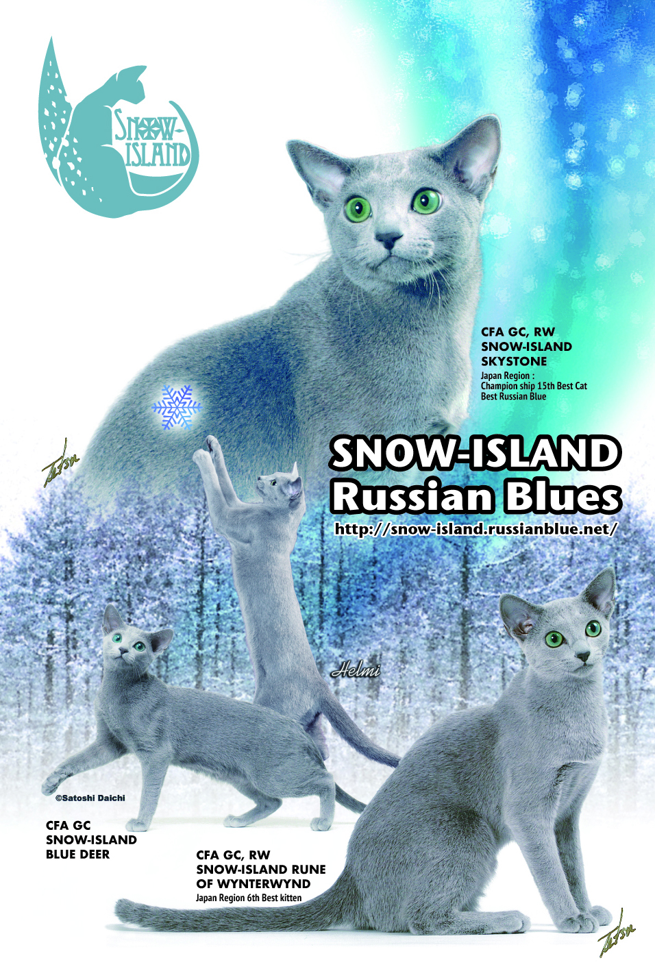 Snow Islandのロシアンブルーたちに関する記事一覧